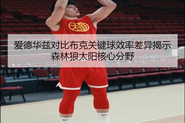 爱德华兹对比布克关键球效率差异揭示森林狼太阳核心分野