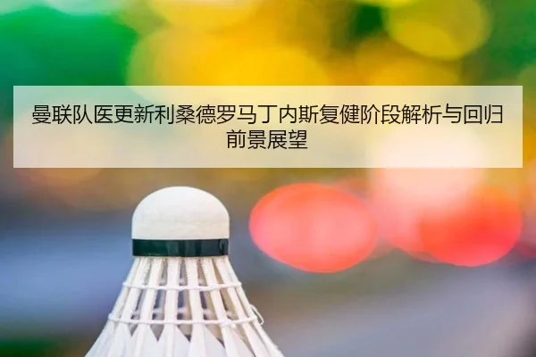 曼联队医更新利桑德罗马丁内斯复健阶段解析与回归前景展望